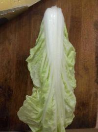 蚝油炒白菜的做法步骤1