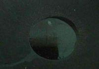 蚝油炒白菜的做法步骤3