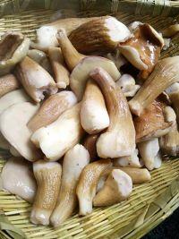 山药大脚菇炖鸡的做法步骤8