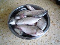 酥鲫鱼的做法步骤1